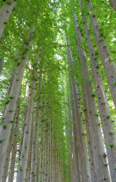 나만알고싶은여행지