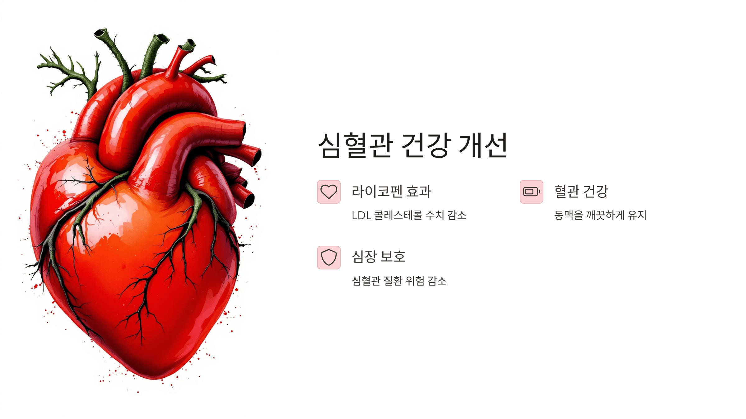 토마토 사진입니다.