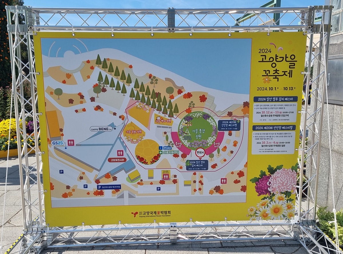 서울 근교 가을꽃 만발한, 경기도 고양시 강매석교공원 창릉천 코스모스축제