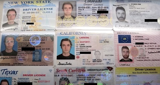 신분증이 나열되어 있는 사진