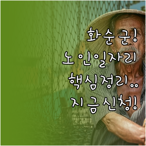 전남 화순군 시니어클럽 노인 일자리 ..