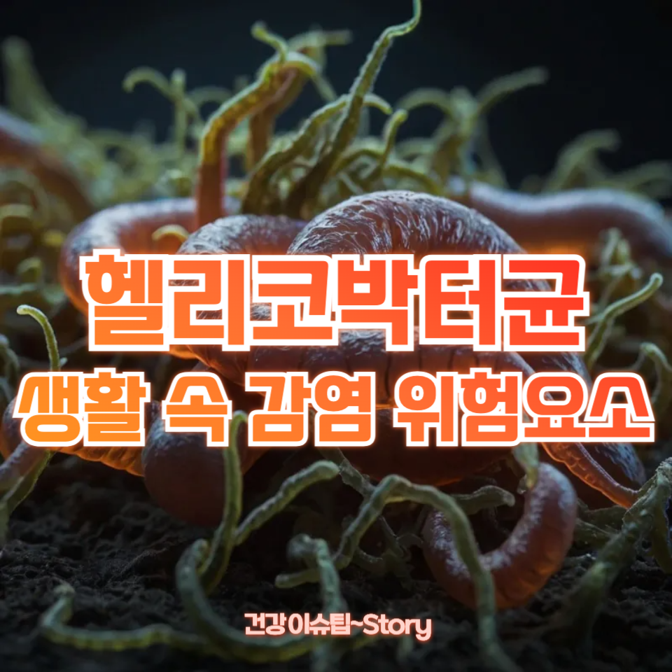 헬리코박터균