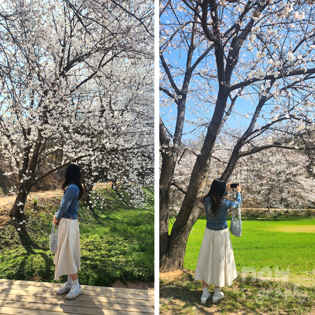 충남-당진-피어라-카페