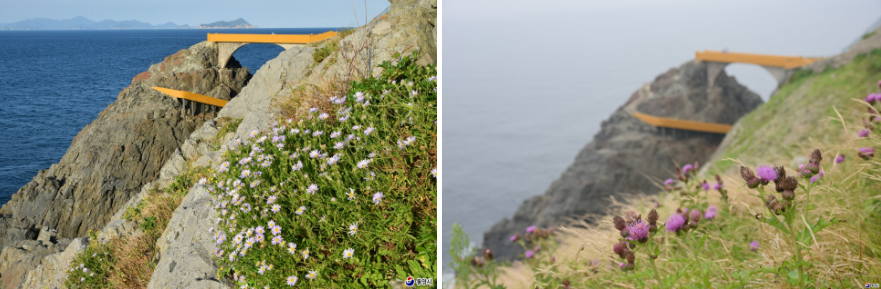 수국이 피는 바다 마을, 욕지도 수국 명소 완전 정리