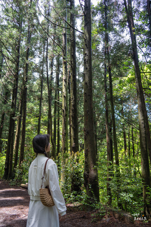 왕이메오름 포토존
