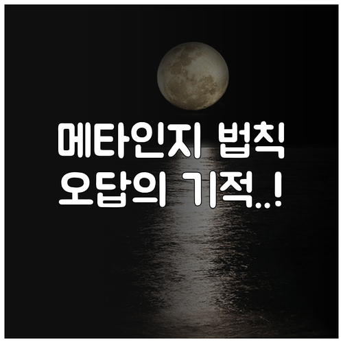 성공적인 학습을 위한 메타인지 강화 ..