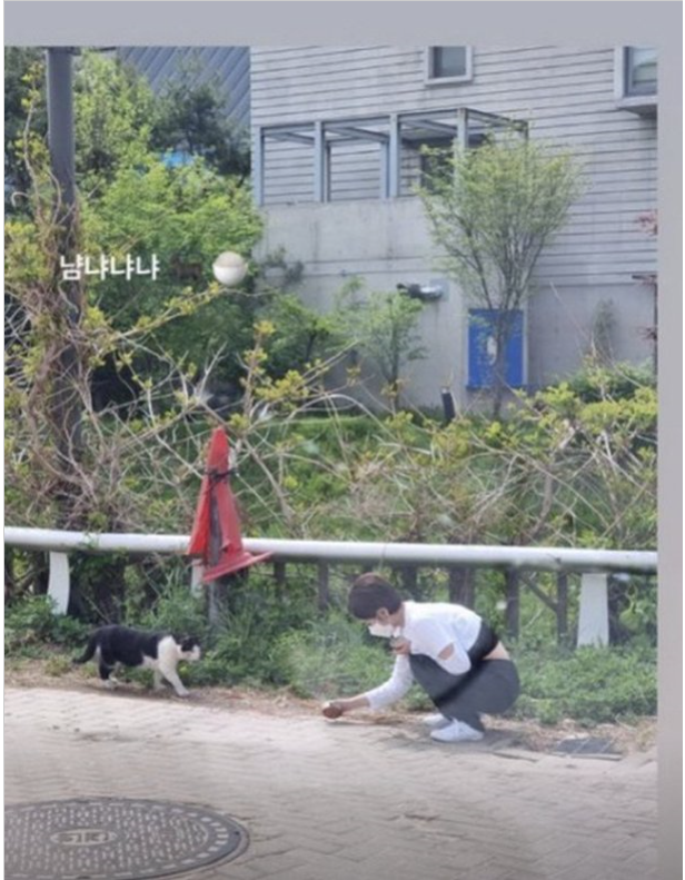 심은우 고양이