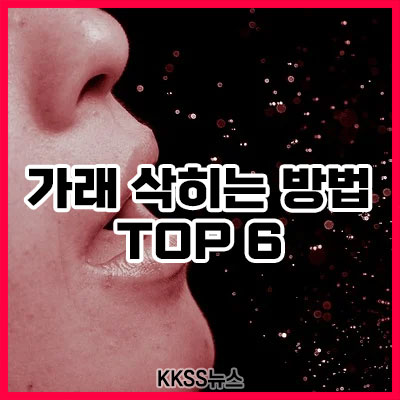 가래 삭히는 방법