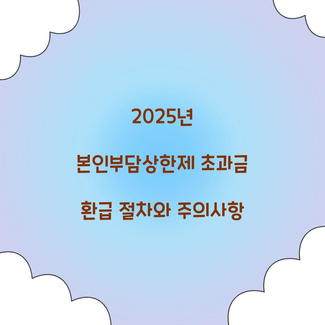 2025년 본인부담상한제 초과금 환급