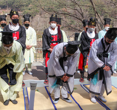 영취산진달래