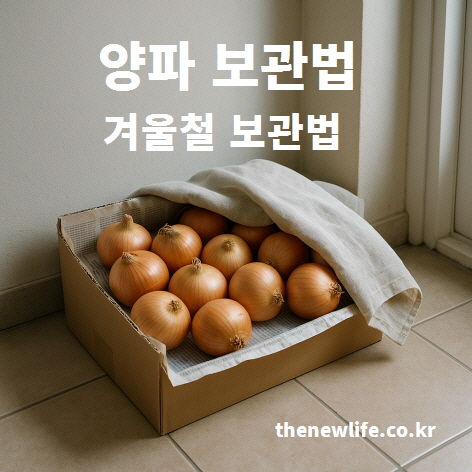 겨울철 양파 보관법 &ndash; 실내 서늘한 곳에서 신문지와 천으로 덮어 보관