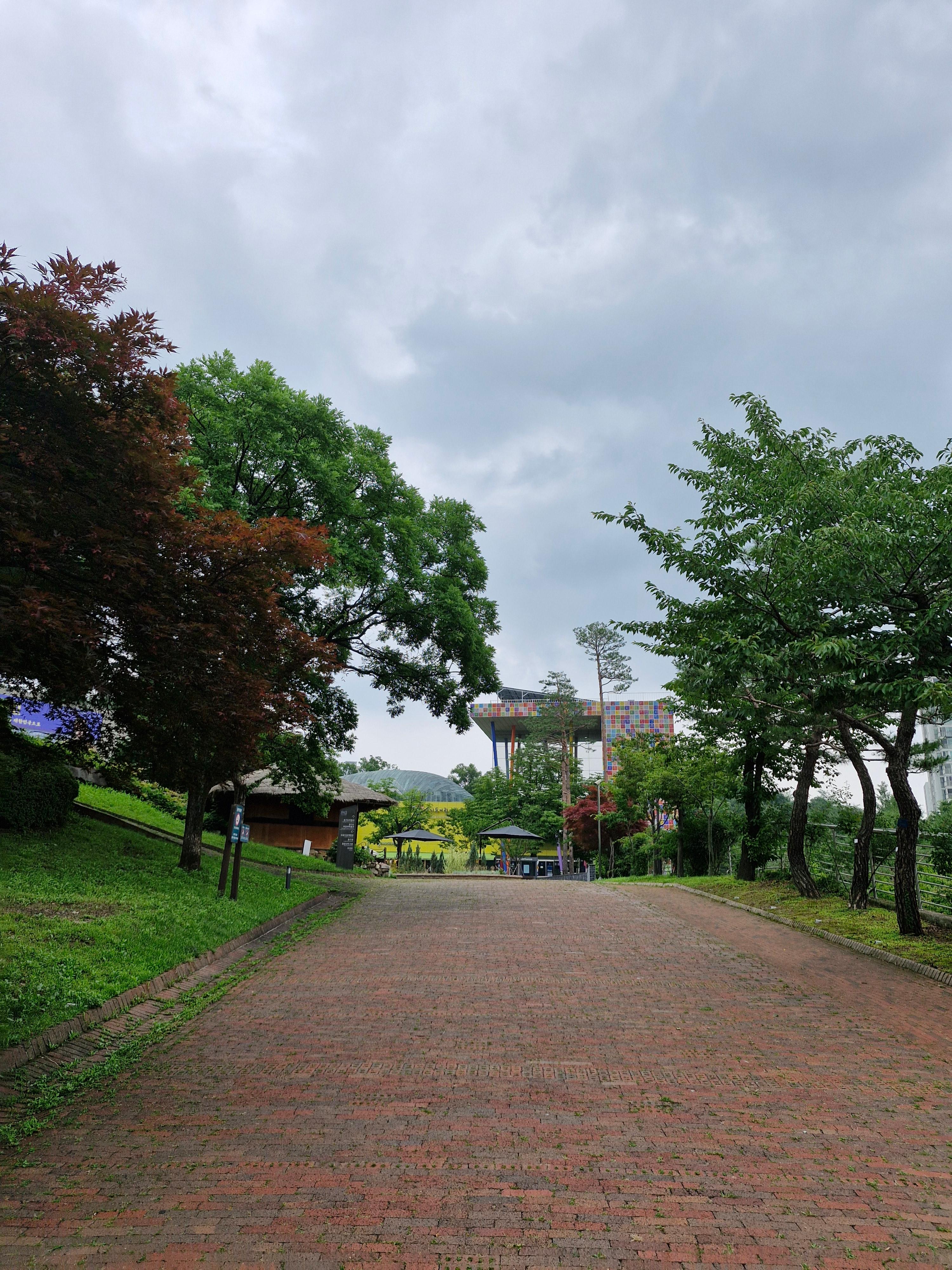 김호연 불편한 편의점