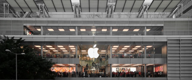 블랙프라이데이 배대지 총정리