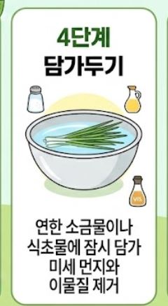 냉이 손질법 및 싱싱한 보관 꿀팁