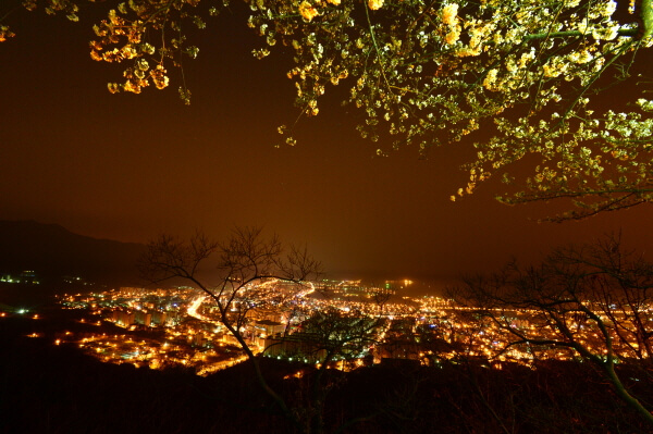 2023 진해 군항제