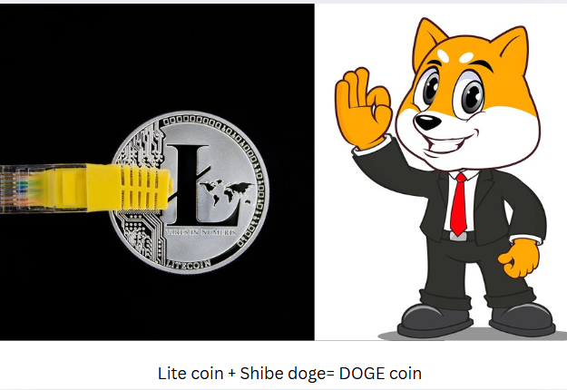 라이트코인과 시바 애니 사진