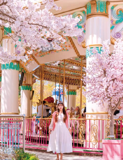 대구 이월드 벚꽃축제, 블라썸 피크닉 포토존 위치 지도