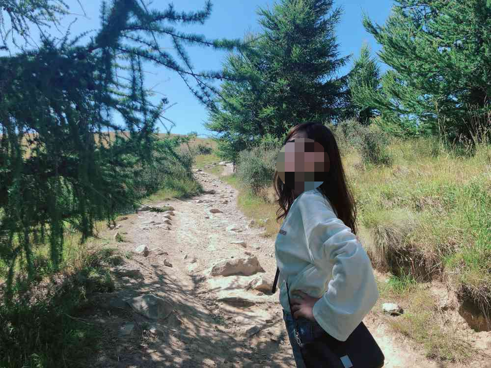 테카포 전망대 가는 길