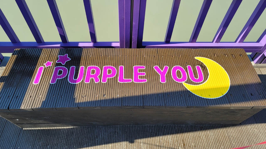 신안 퍼플섬 여행 가이드 - 보랏빛 낭만 속으로!