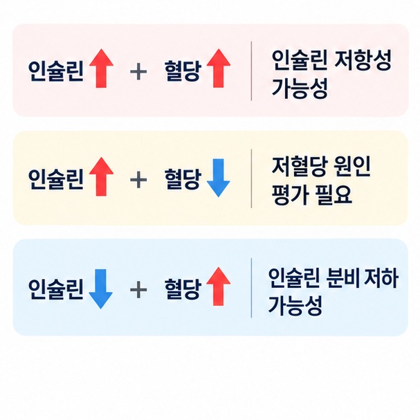 인슐린이 높거나 낮을 때 공복혈당과 함께 인슐린 저항성 저혈당 인슐린 분비 저하 가능성을 살펴보는 이미지