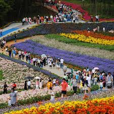 안면도꽃박람회