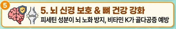 오이 효능