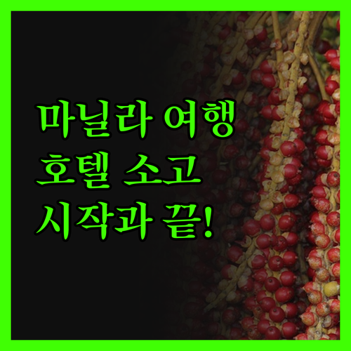 호텔 소고 에드사 쿠바오, 마닐라 여