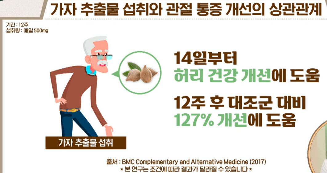 가자추출물 효능