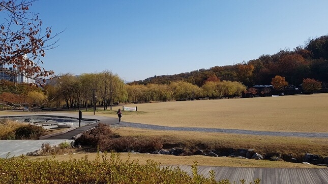 반려견과 함께 떠나는 서울 가을산책 단풍명소 추천 : 북서울꿈의숲·서울숲·반포한강공원