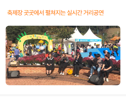 임실 N 축제 프로그램