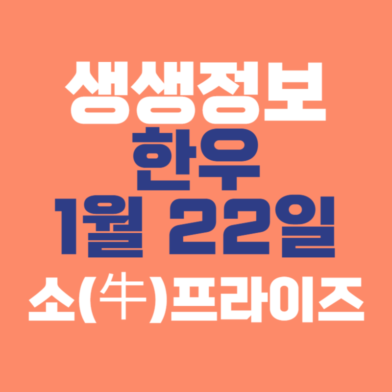 생생정보 한우로 맛있게 하나로마트