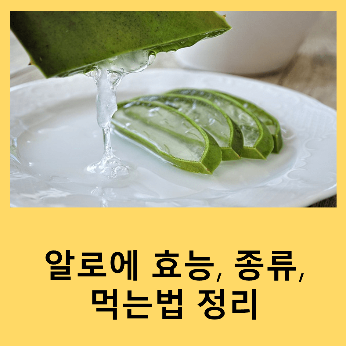 알로에