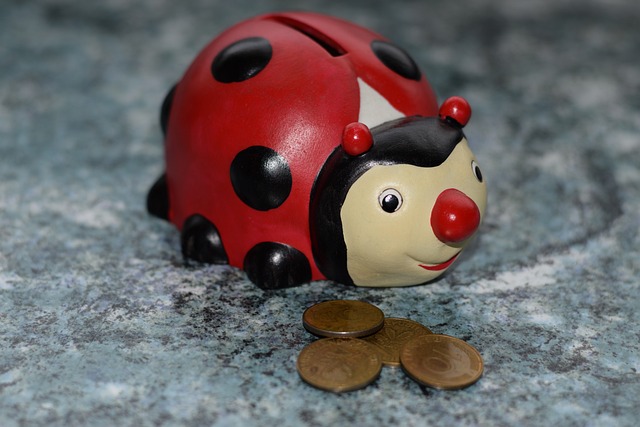 청년내일저축계좌 관련 이미지