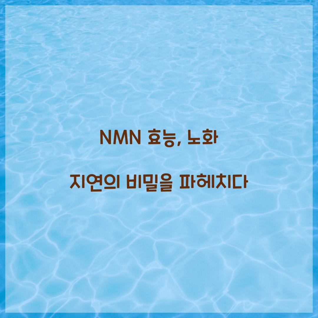 NMN 효능