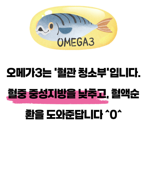 오메가3 효능