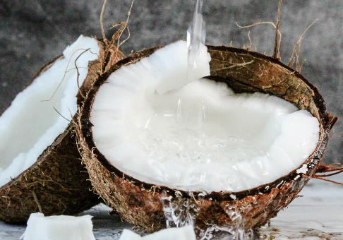 코코넛오일 효능 : 소화건강