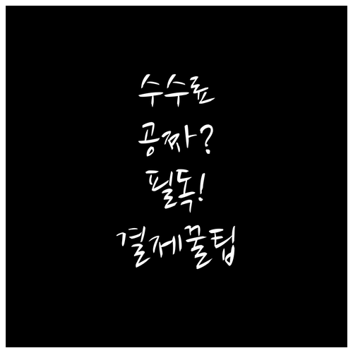 청년문화예술패스 예매 수수료 지원 범..