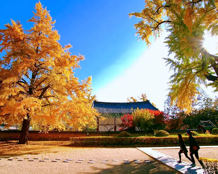 한옥마을 한옥 길 따라 즐기는 전주 핫플 여행 전북 전주 가볼만한 곳 추천 생방송투데이 오늘방송 떴다 동네방네