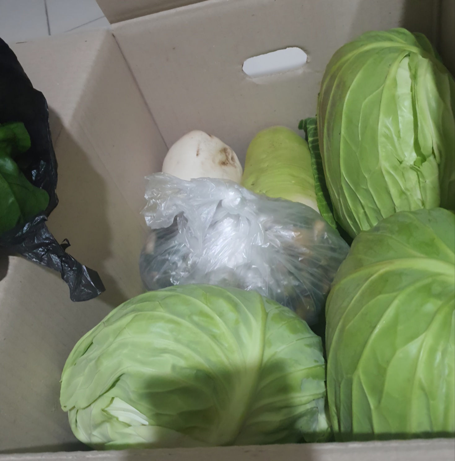 야채랑-반찬이-들어있어요.