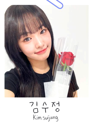 김수정