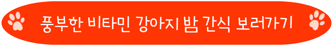 풍부한 비타민 강아지 밤 간식