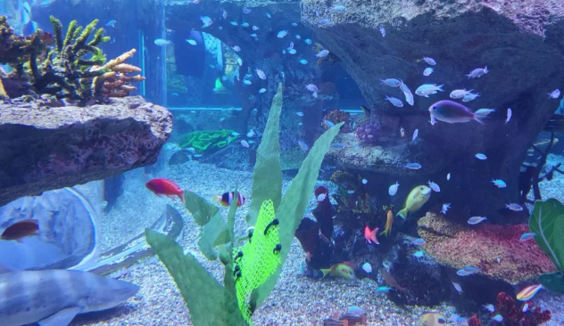 부산 가볼만한 곳 BEST 가족여행 3박 4일 코스