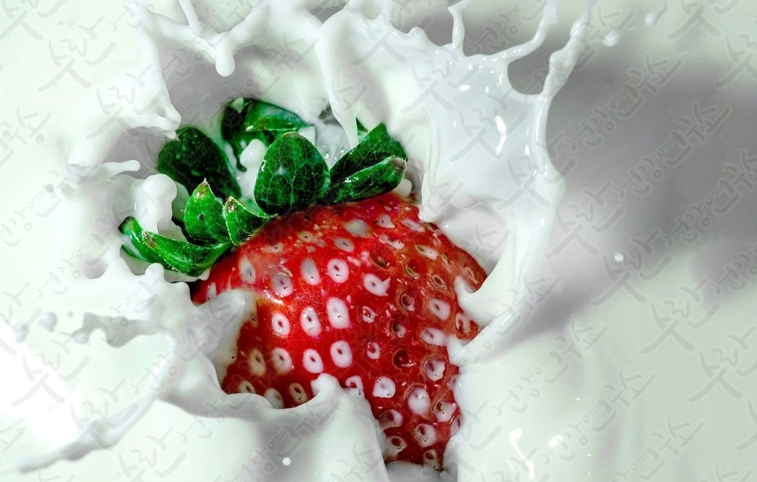 셀트리온 초유 단백질16