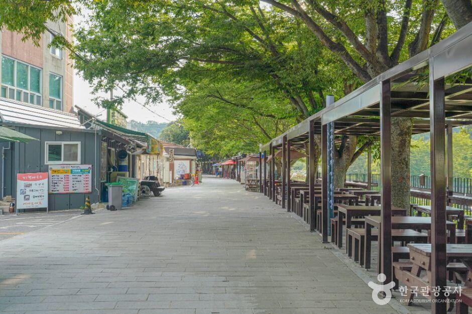 담양 맛집 베스트 10