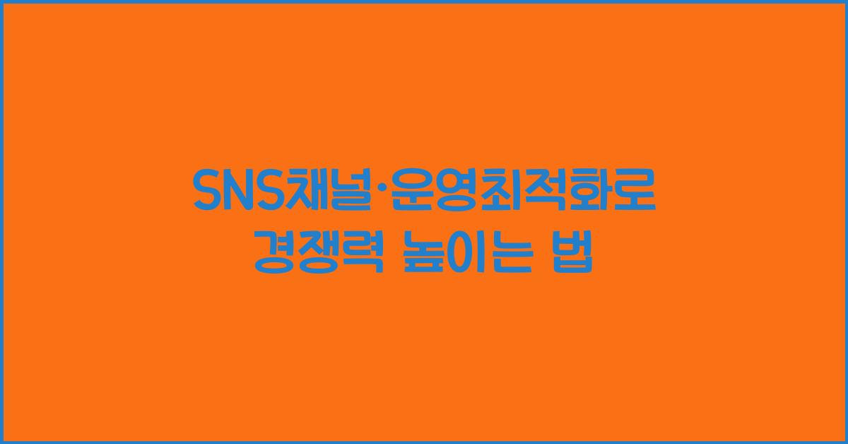SNS채널·운영최적화