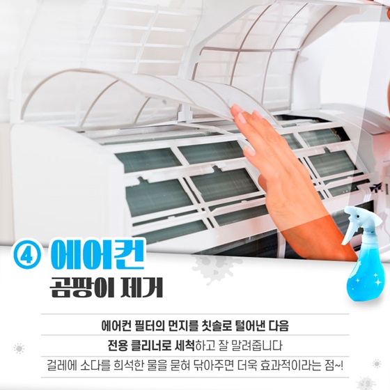 옷, 거실, 방, 화장실, 주방, 욕실, 에어컨 등 곰팡이 제거하는 5가지 방법