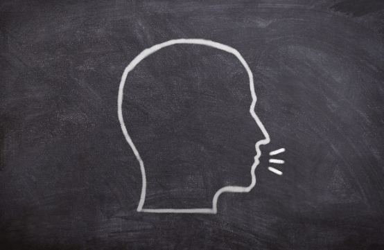 언어의 진화 다윈 이론으로 본 인간의 말과 의사소통 능력의 발달