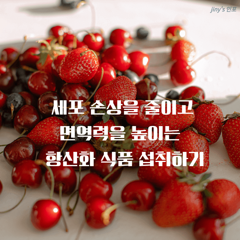 건강한생활습관