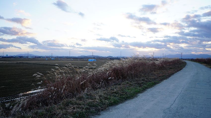 왼쪽으로 굽어지는 둑방길, 길가에 하늘거리는 억새풀, 하늘에 두터운 회색구름,