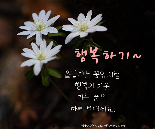 행복하기